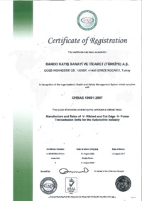 OHSAS 18001 2007